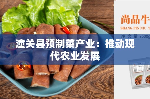 潼关县预制菜产业：推动现代农业发展