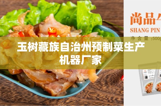 玉树藏族自治州预制菜生产机器厂家