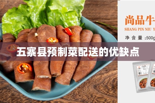 五寨县预制菜配送的优缺点