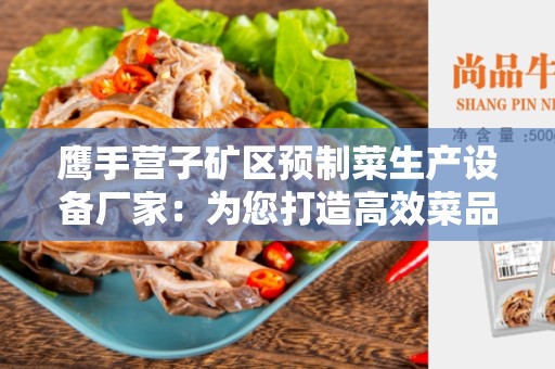 鹰手营子矿区预制菜生产设备厂家：为您打造高效菜品生产设备的选择