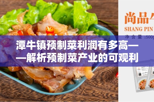 潭牛镇预制菜利润有多高——解析预制菜产业的可观利润潜力