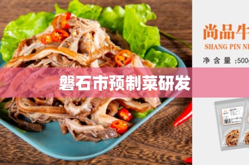 磐石市预制菜研发