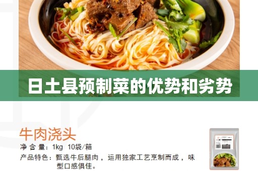 日土县预制菜的优势和劣势