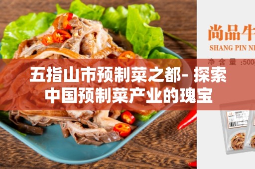 五指山市预制菜之都- 探索中国预制菜产业的瑰宝