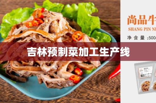 吉林预制菜加工生产线