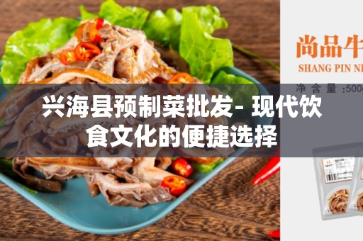 兴海县预制菜批发- 现代饮食文化的便捷选择