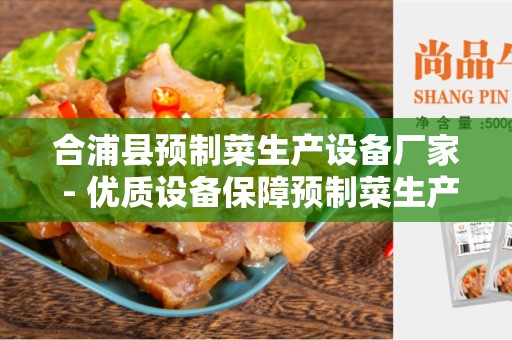 合浦县预制菜生产设备厂家 - 优质设备保障预制菜生产的效率和质量