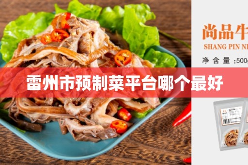 雷州市预制菜平台哪个最好