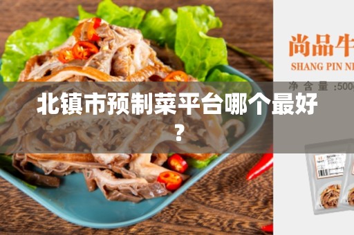 北镇市预制菜平台哪个最好？