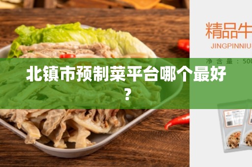 北镇市预制菜平台哪个最好？