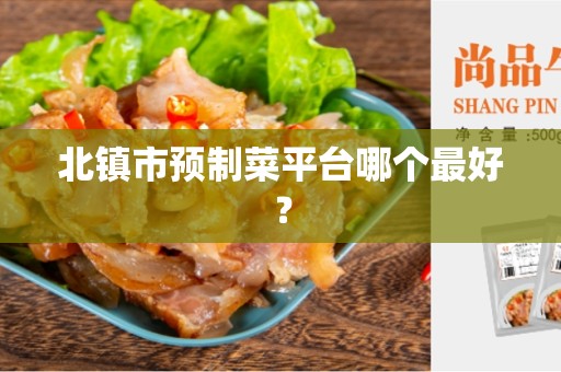北镇市预制菜平台哪个最好？