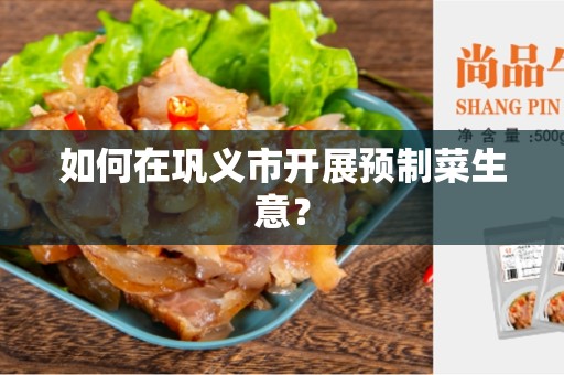如何在巩义市开展预制菜生意？
