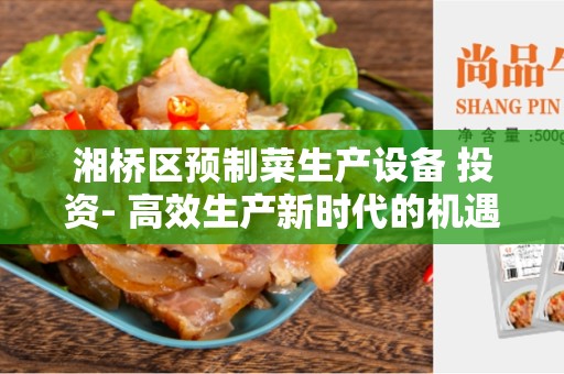 湘桥区预制菜生产设备 投资- 高效生产新时代的机遇