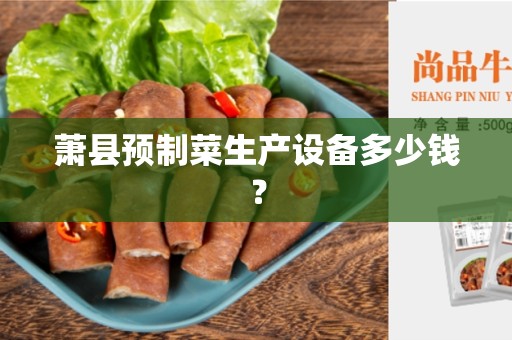 萧县预制菜生产设备多少钱？