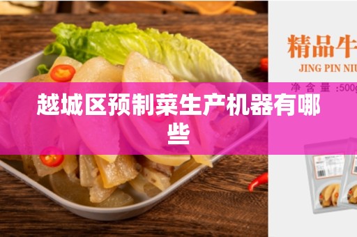 越城区预制菜生产机器有哪些