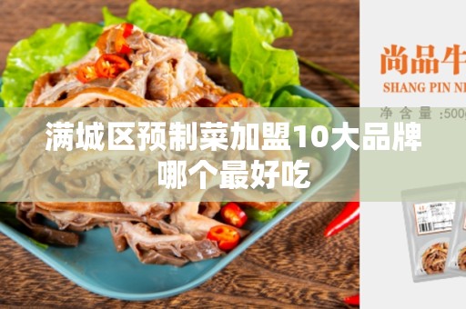 满城区预制菜加盟10大品牌哪个最好吃