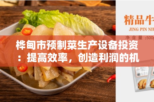 桦甸市预制菜生产设备投资：提高效率，创造利润的机会