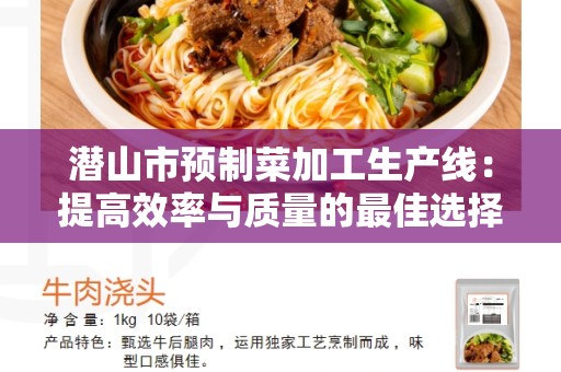 潜山市预制菜加工生产线：提高效率与质量的最佳选择