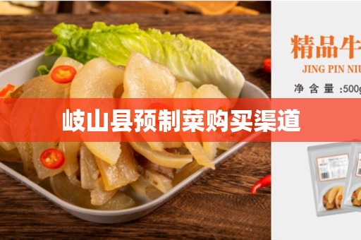 岐山县预制菜购买渠道