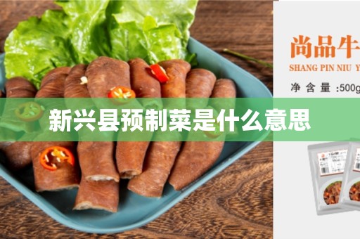 新兴县预制菜是什么意思