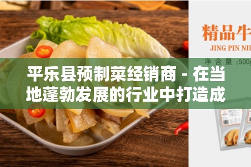 平乐县预制菜经销商 - 在当地蓬勃发展的行业中打造成功的业务