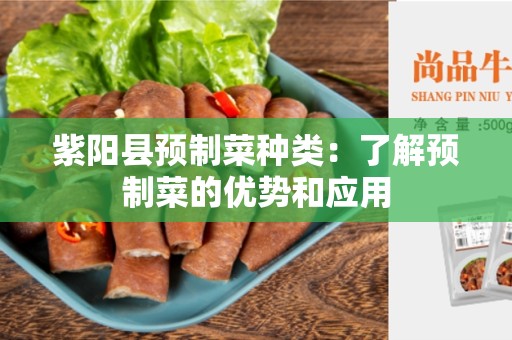 紫阳县预制菜种类：了解预制菜的优势和应用