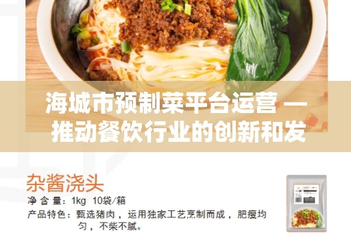 海城市预制菜平台运营 — 推动餐饮行业的创新和发展