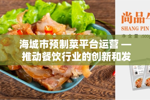 海城市预制菜平台运营 — 推动餐饮行业的创新和发展