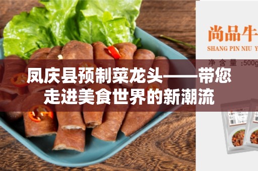 凤庆县预制菜龙头——带您走进美食世界的新潮流