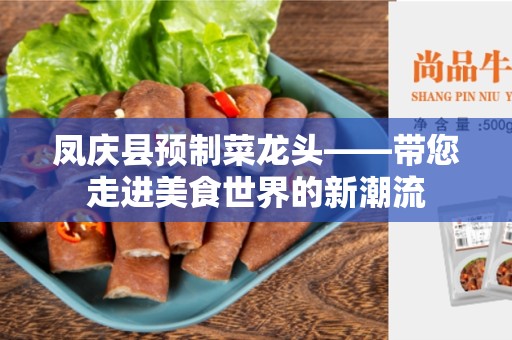凤庆县预制菜龙头——带您走进美食世界的新潮流