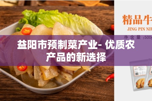 益阳市预制菜产业- 优质农产品的新选择
