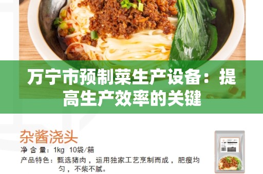 万宁市预制菜生产设备：提高生产效率的关键