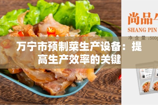 万宁市预制菜生产设备：提高生产效率的关键