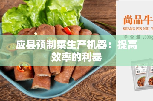 应县预制菜生产机器：提高效率的利器