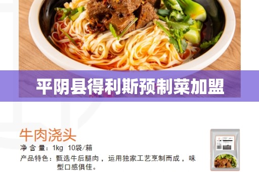 平阴县得利斯预制菜加盟