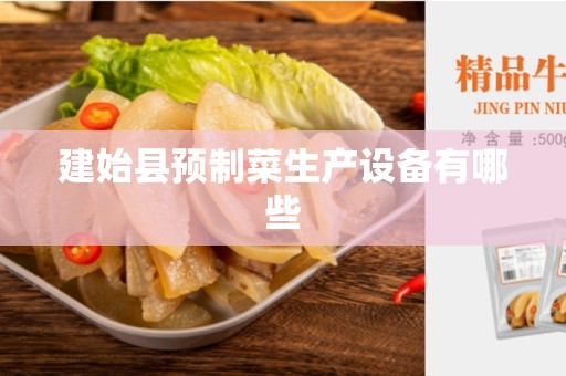 建始县预制菜生产设备有哪些
