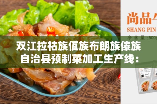 双江拉祜族佤族布朗族傣族自治县预制菜加工生产线：开创现代化餐饮新模式