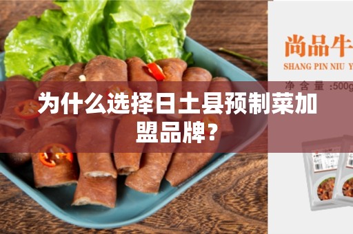 为什么选择日土县预制菜加盟品牌？