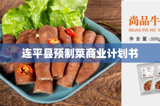 连平县预制菜商业计划书