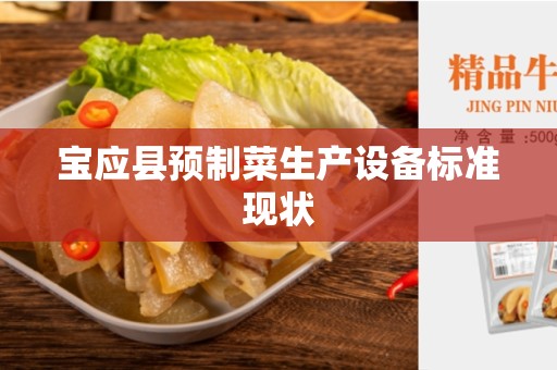 宝应县预制菜生产设备标准现状