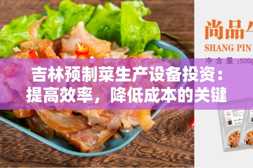 吉林预制菜生产设备投资：提高效率，降低成本的关键