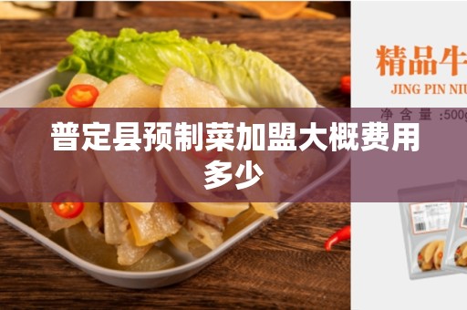 普定县预制菜加盟大概费用多少