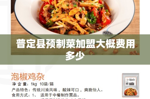 普定县预制菜加盟大概费用多少