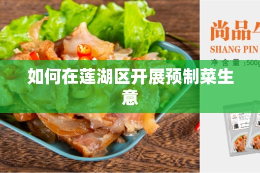 如何在莲湖区开展预制菜生意