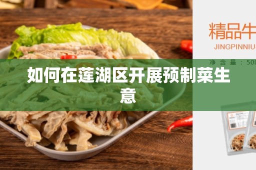 如何在莲湖区开展预制菜生意