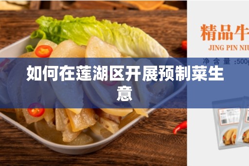 如何在莲湖区开展预制菜生意