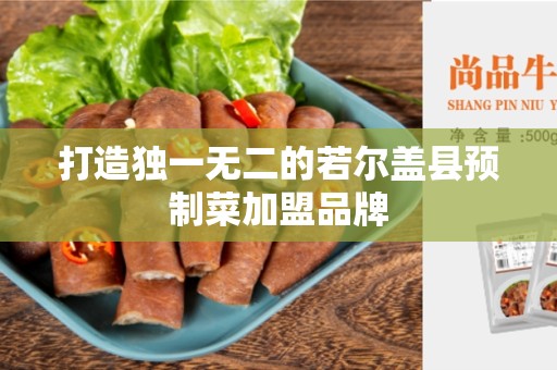 打造独一无二的若尔盖县预制菜加盟品牌
