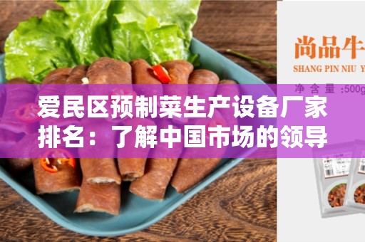 爱民区预制菜生产设备厂家排名：了解中国市场的领导者