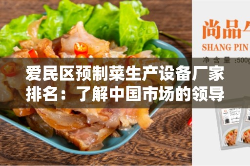 爱民区预制菜生产设备厂家排名：了解中国市场的领导者