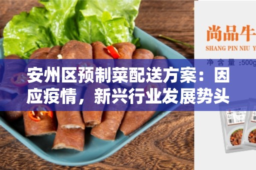 安州区预制菜配送方案：因应疫情，新兴行业发展势头迅猛